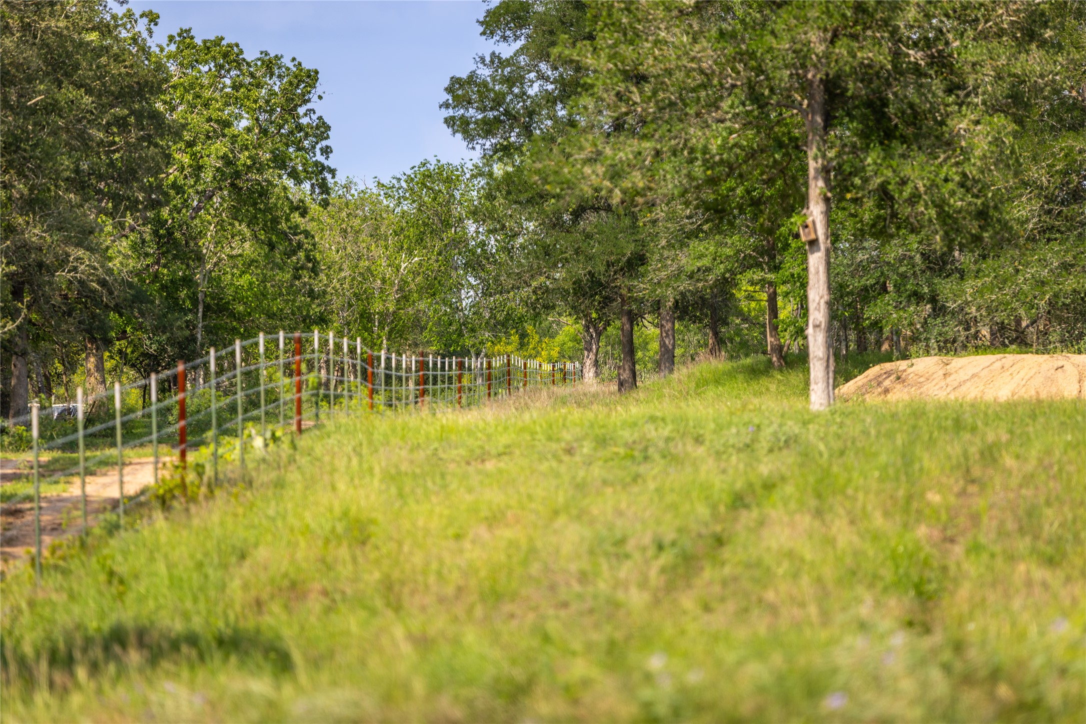 4082 Old Colony Line Road Lockhart, TX 78644 - Photo 25 of 40 Green pastures and mature trees line this fenced perimeter, creating a tranquil country setting.