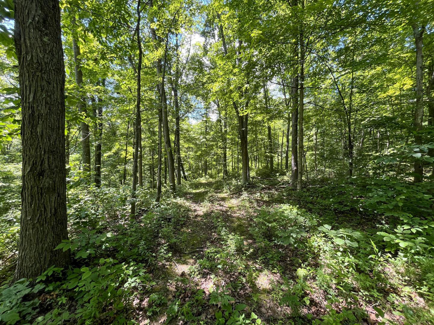 0 Water Works Hill Road Glouster, OH 45732 - Photo 13 of 35 12