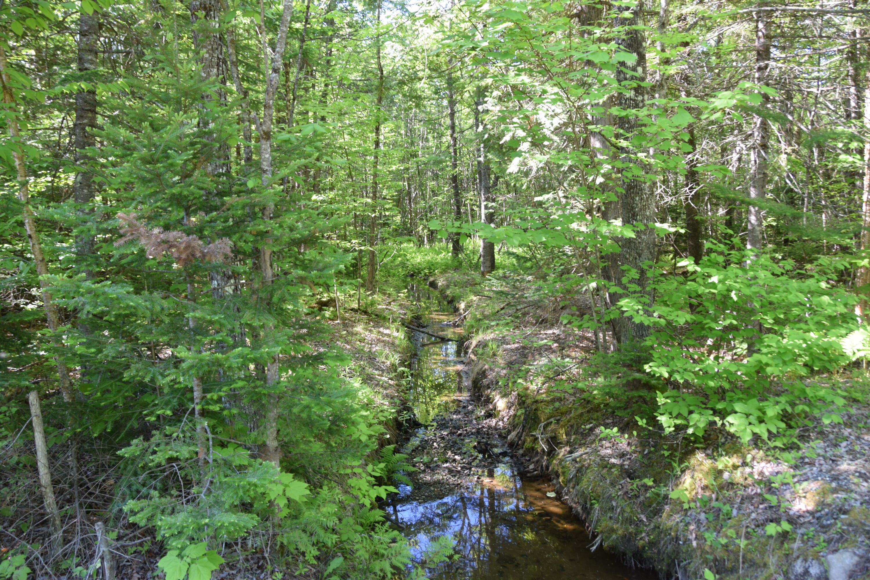 M10-l6-1 Hancock Pond Road New Portland, ME 04961 - Photo 11 of 30 DSC_0009
