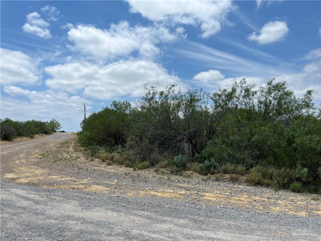 319 Pelican Street Zapata, TX 78076 - Photo 2 of 5