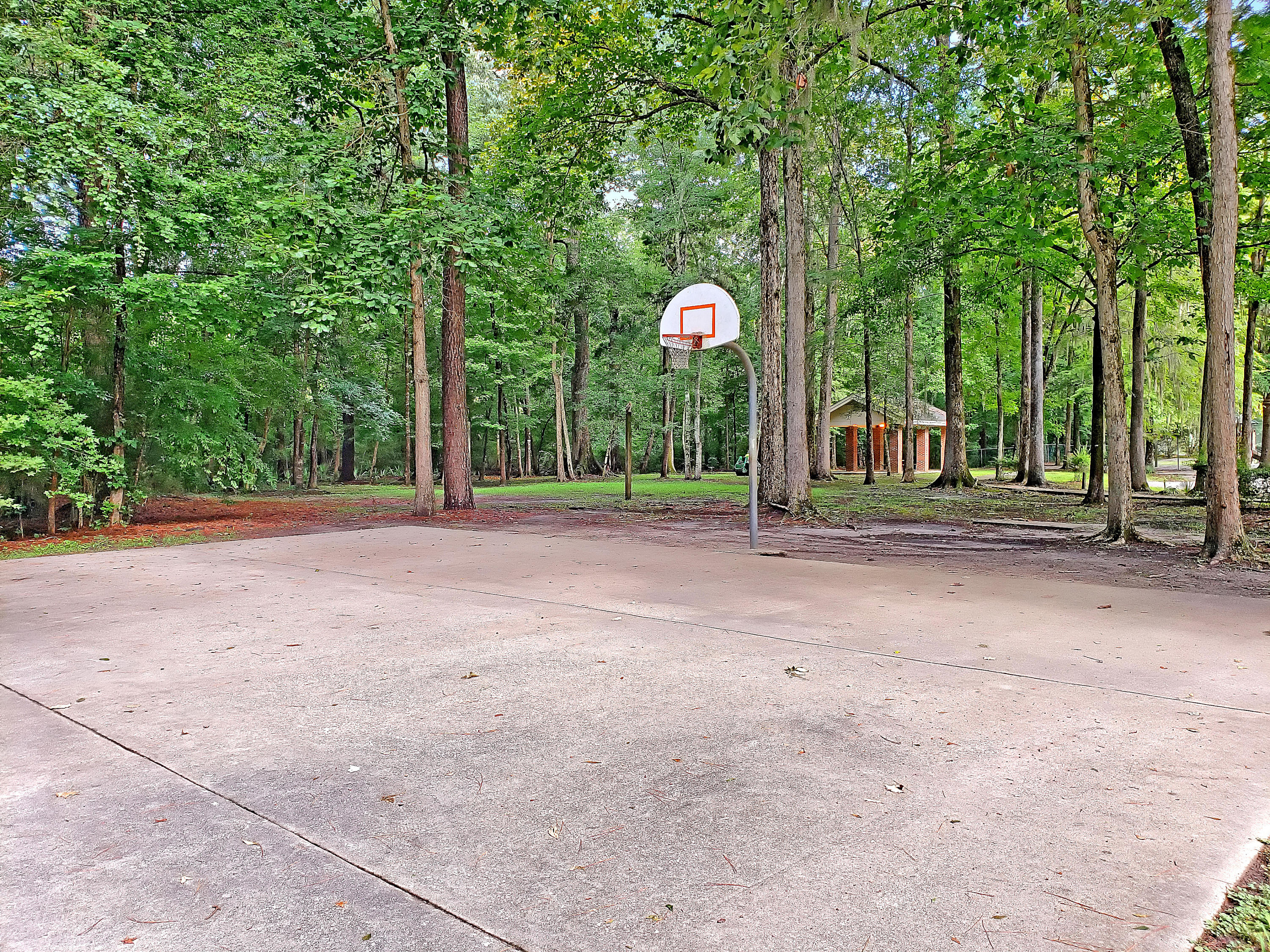 413 Hamlet Road Summerville, SC 29485 - Photo 38 of 43 6 copy