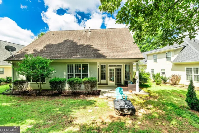 a view of a park with plants and large trees