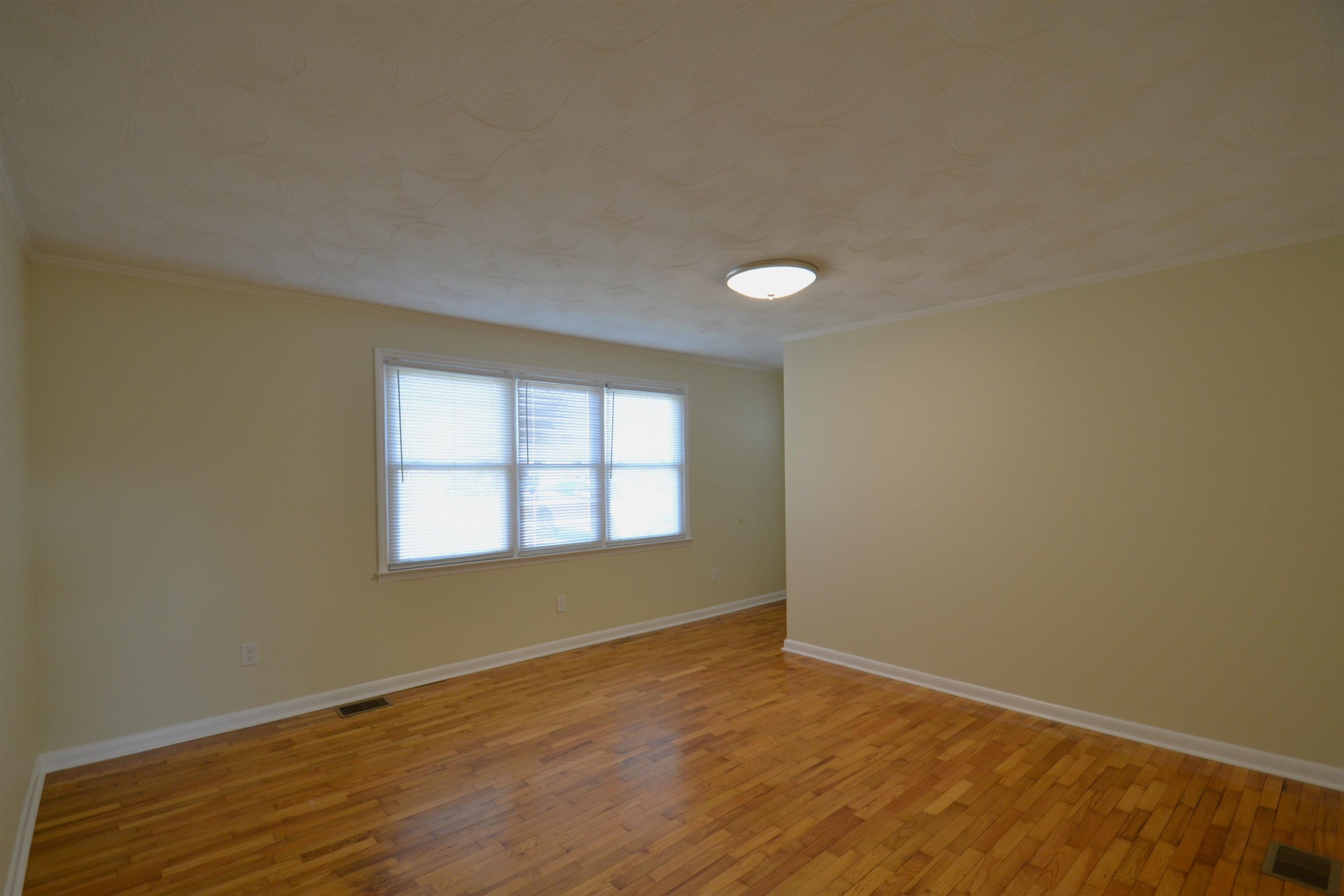 116 Swain Avenue Boiling Springs, SC 29316 - Photo 2 of 14 Gallery Image 2