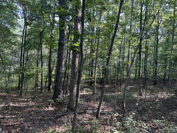 8812 Lutts Road Lutts, TN 38471 - Photo 11 of 11 Gallery Image 11