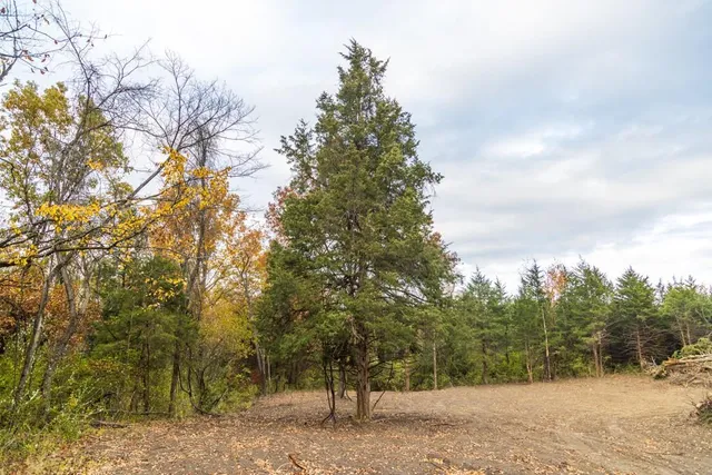 $209,000 | Lot 4 Timber Ridge Drive, Peculiar, MO 64078