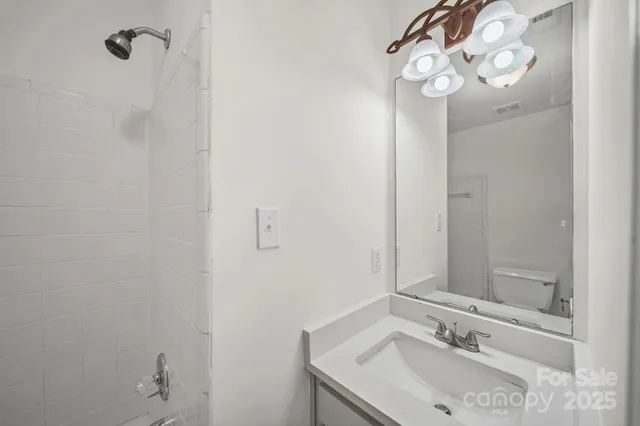 a bathroom with a sink mirror and vanity