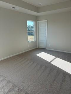 127 Lavender Circle Calhoun, GA 30701 - Photo 20 of 32