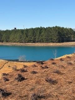 127 Lavender Circle Calhoun, GA 30701 - Photo 29 of 32