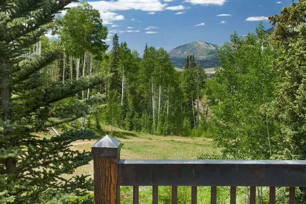 $15,950,000 | 228 Benchmark Drive, Mountain Village, CO 81435