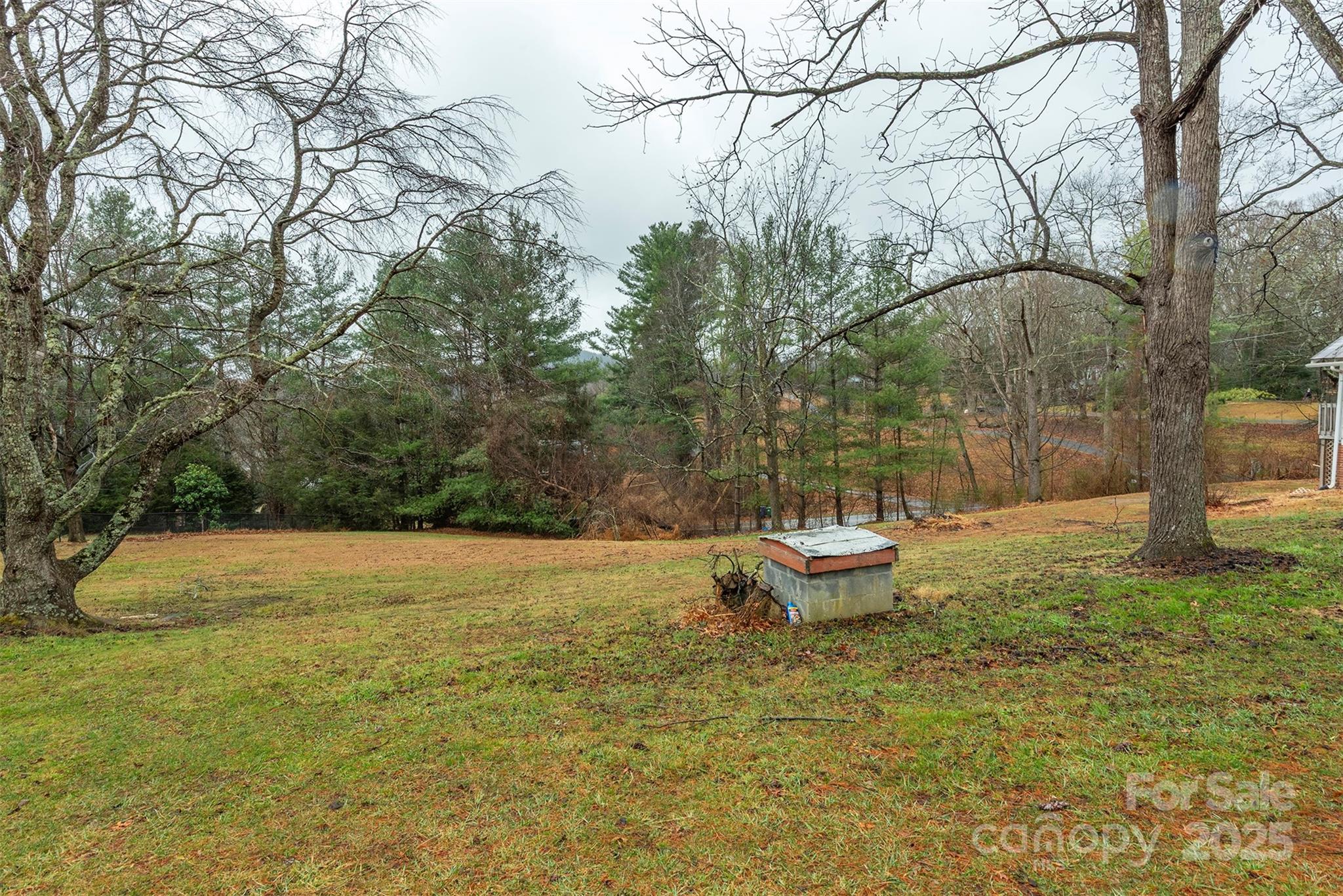 657 Old Fort Road Fairview, NC 28730 - Photo 25 of 30 a backyard of a house with lots of green space