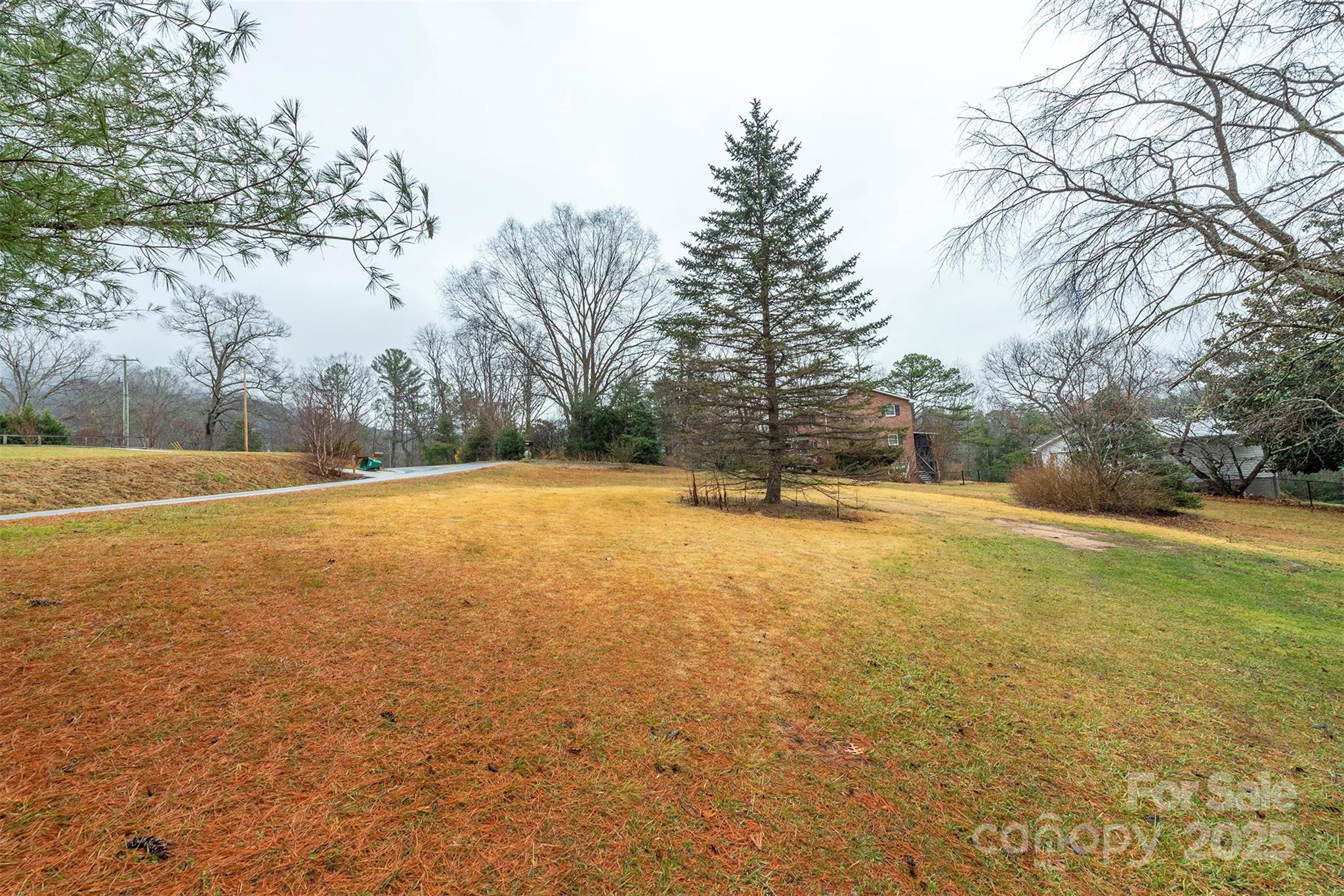 657 Old Fort Road Fairview, NC 28730 - Photo 27 of 30 a view of yard and tree