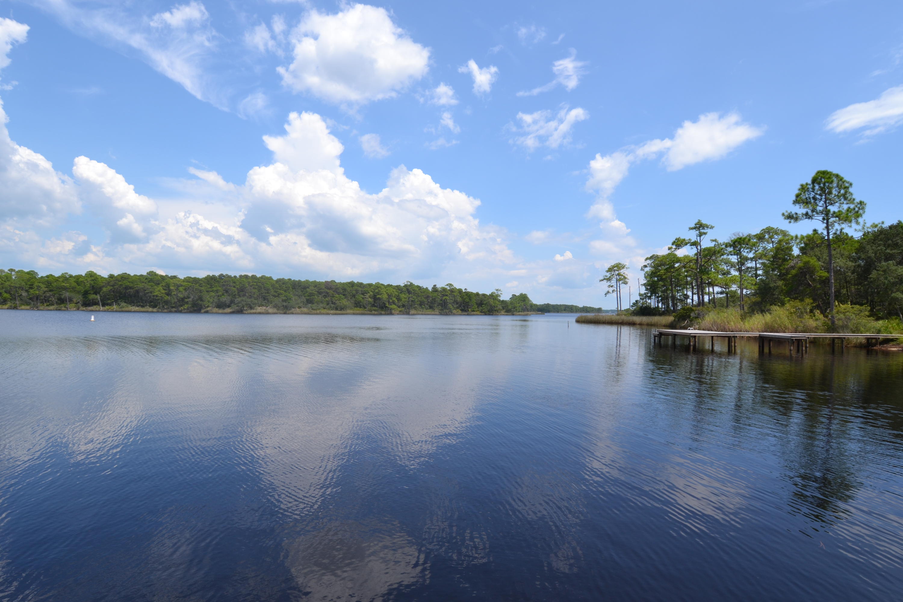 Lot 77 Grande Pointe Drive Inlet Beach, FL 32461 - Photo 14 of 15 DSC_0019