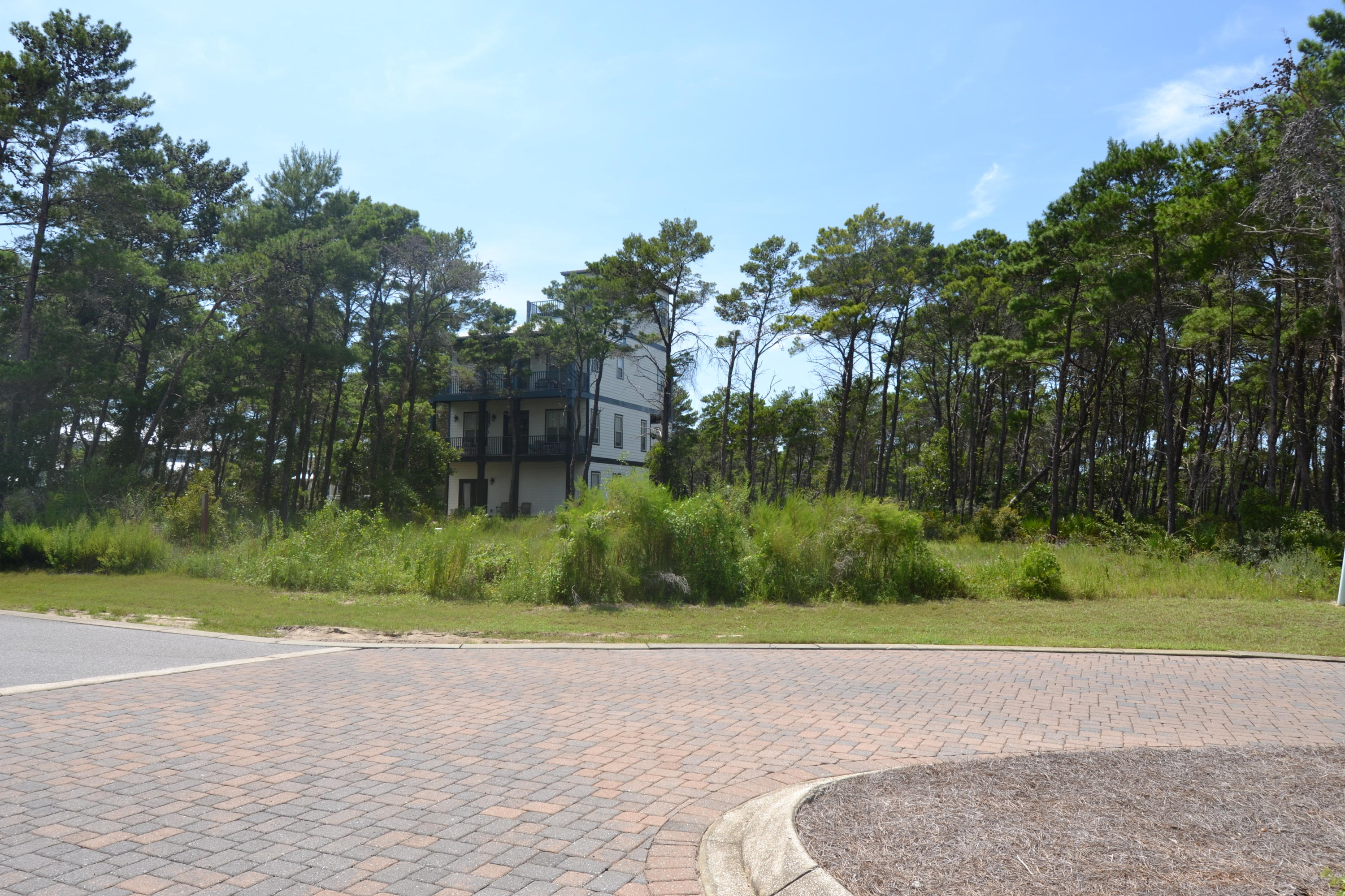 Lot 77 Grande Pointe Drive Inlet Beach, FL 32461 - Photo 6 of 15 DSC_0006