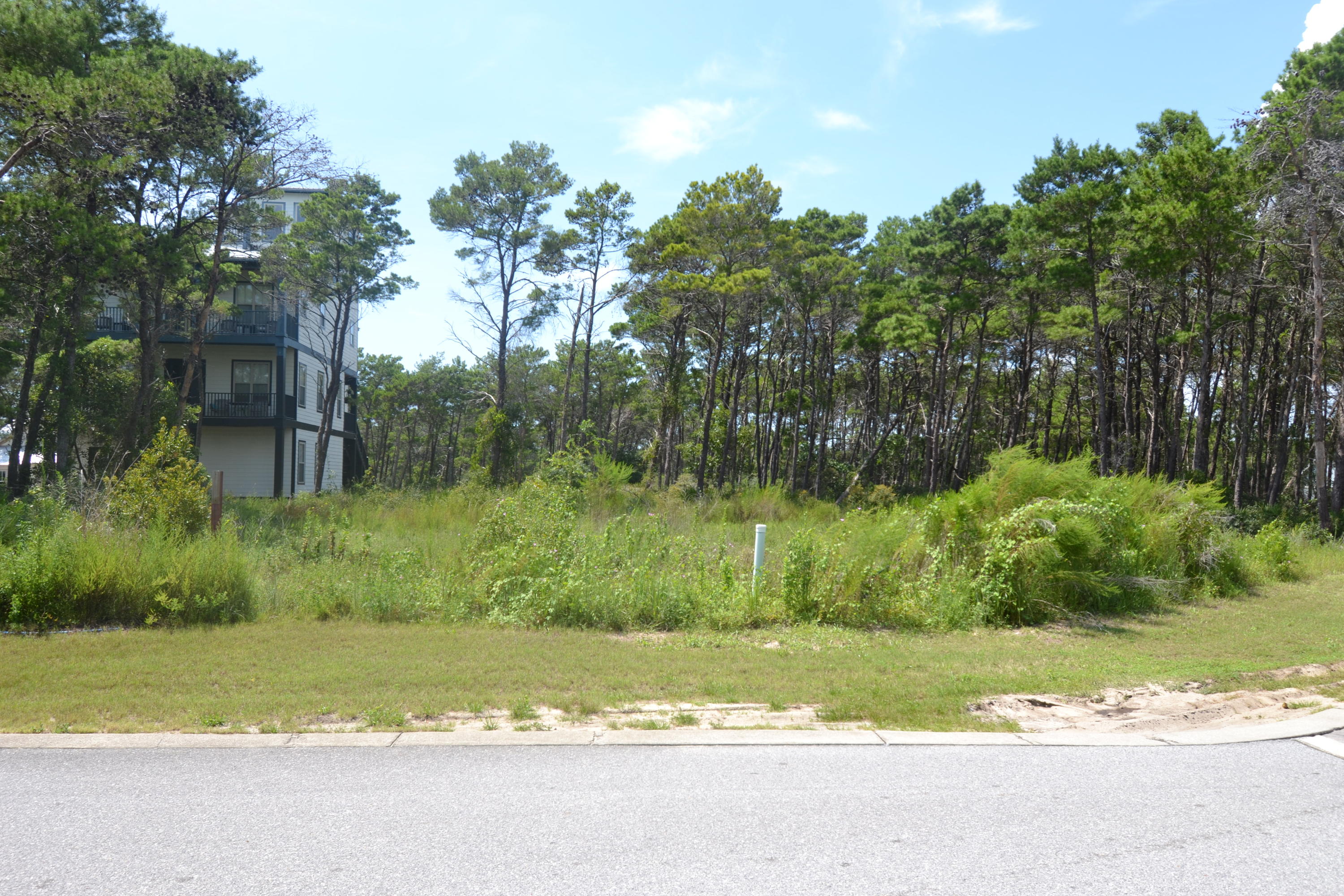 Lot 77 Grande Pointe Drive Inlet Beach, FL 32461 - Photo 7 of 15 DSC_0007