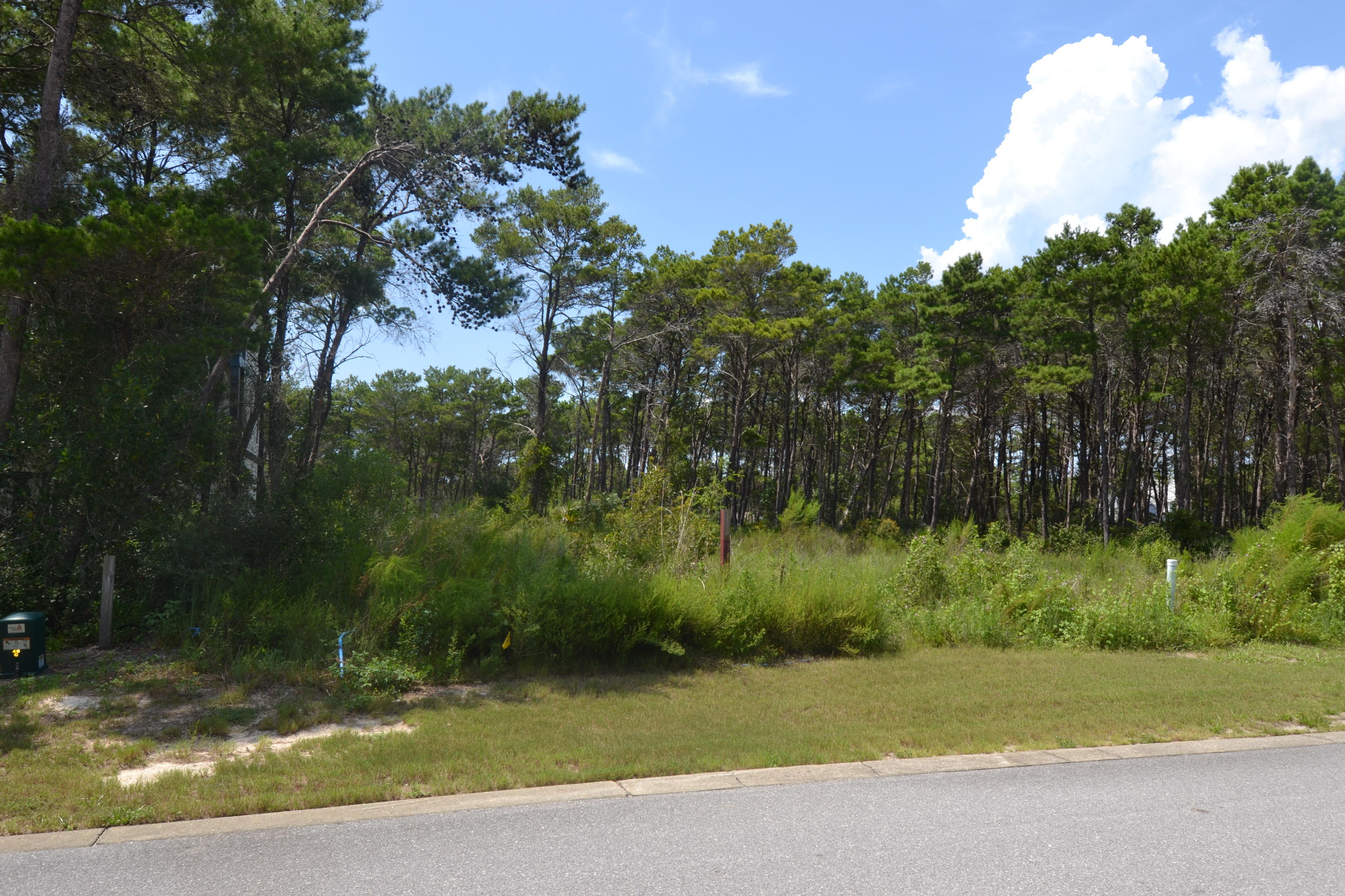 Lot 77 Grande Pointe Drive Inlet Beach, FL 32461 - Photo 8 of 15 DSC_0008