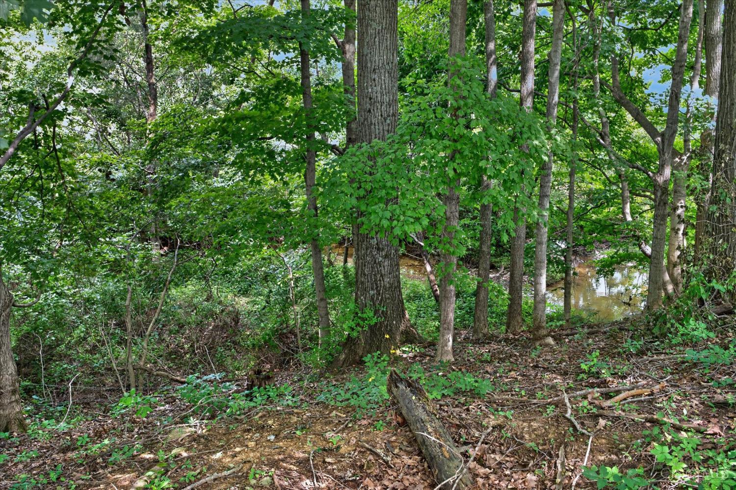 5203 Decatur Pike Winchester, OH 45697 - Photo 48 of 64 Gallery Image 48