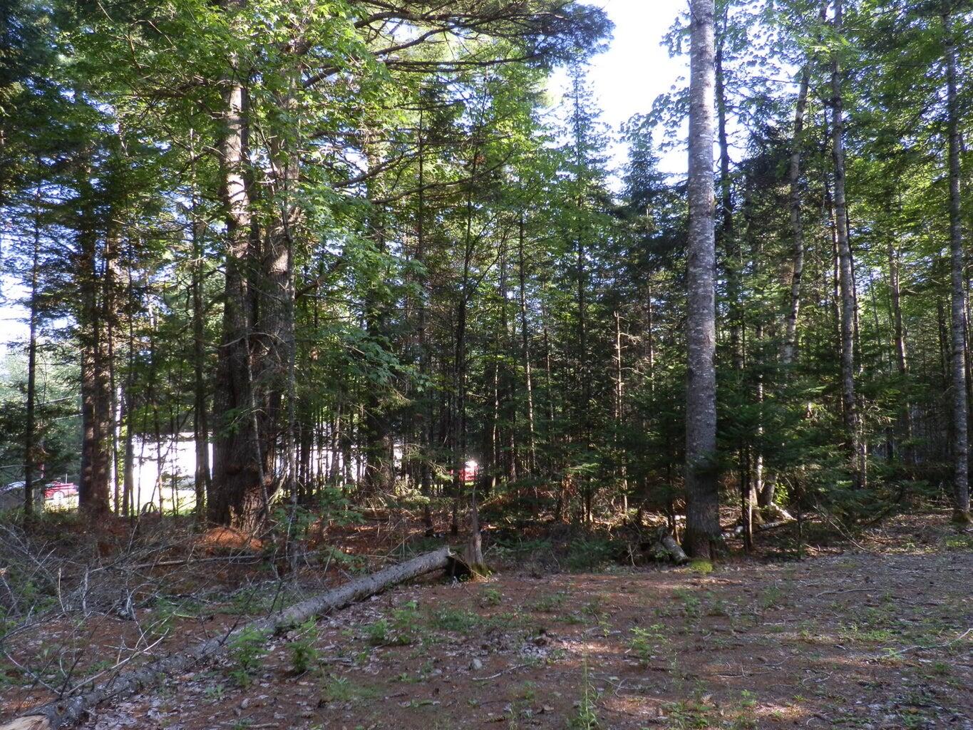 0 Cross Road Greenbush, ME 04418 - Photo 13 of 25 20190826190949696412000000-o