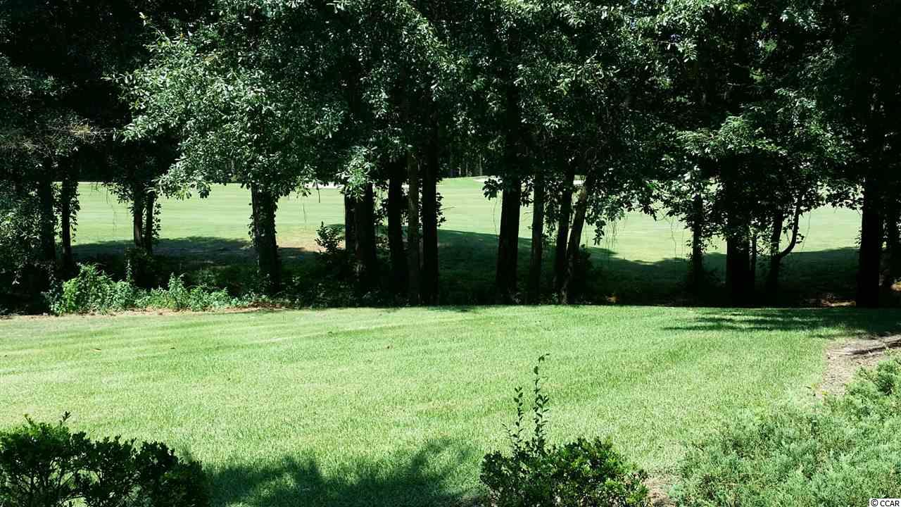 19 Pistachio Loop, Unit C Murrells Inlet, SC 29576 - Photo 22 of 24 Gallery Image 22
