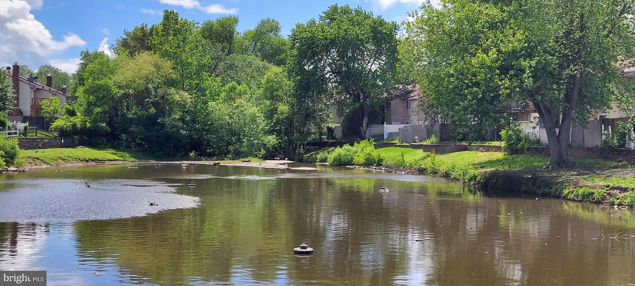 6 Via Cascata Drive Clementon, NJ 08021 - Photo 5 of 19 a view of swimming pool with a yard