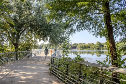 a view of a lake with a large trees
