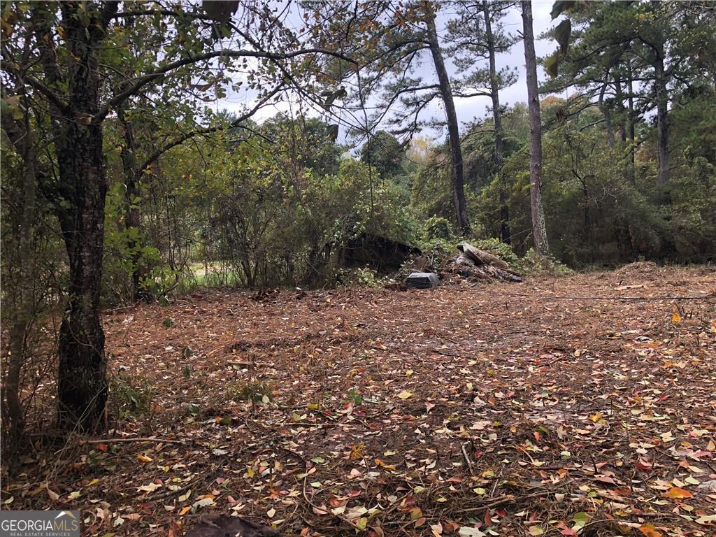 6195 Short Road Fairburn, GA 30213 - Photo 1 of 1 a backyard of a house with lots of green space