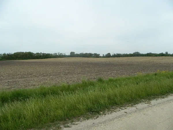 a view of a lake from a yard
