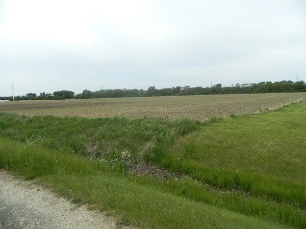 a view of a lake from a yard
