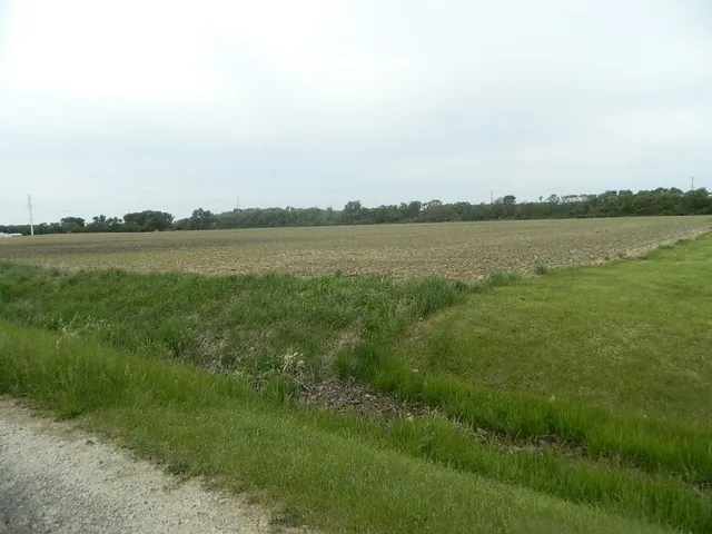 a view of a lake from a yard
