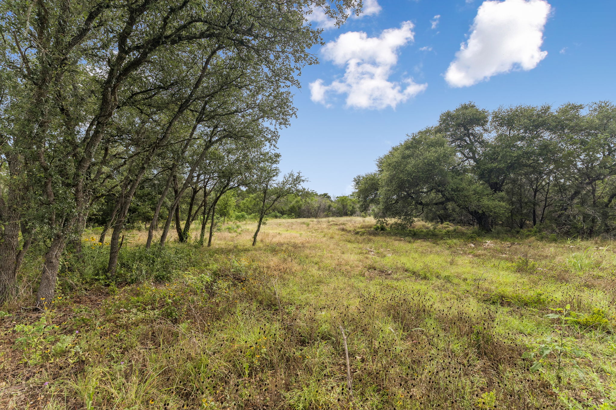 116 Council Road Georgetown, TX 78633 - Photo 8 of 15 Gallery Image 8