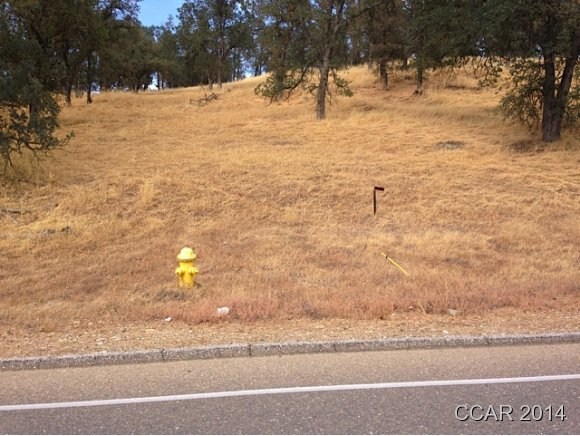 3211 Silver Rapids Road Valley Springs, CA 95252 - Photo 1 of 1 Gallery Image 1