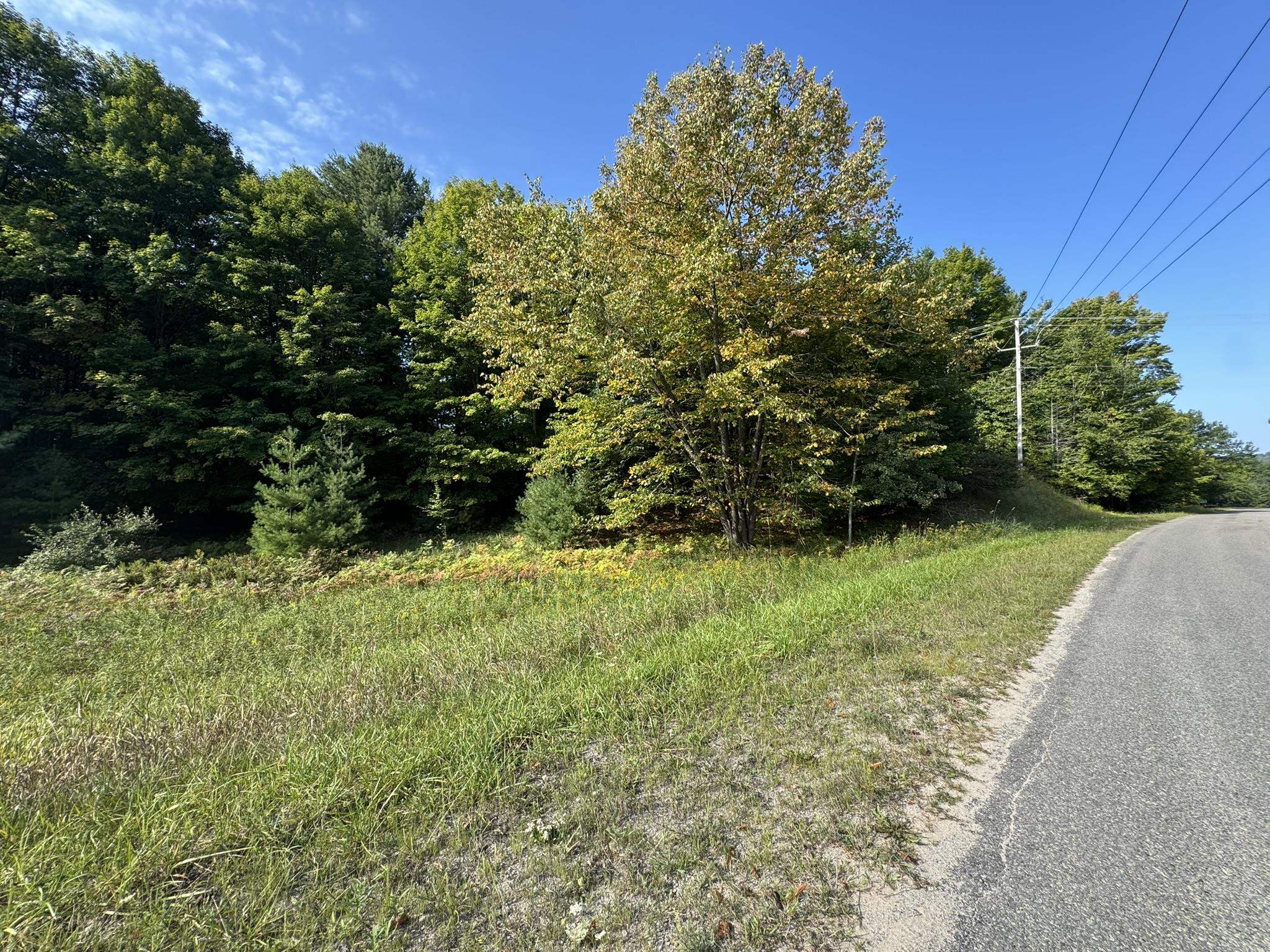 Lot 5 East Old Mountain Road, Unit LOT: 5 Cedar, MI 49621 - Photo 3 of 10