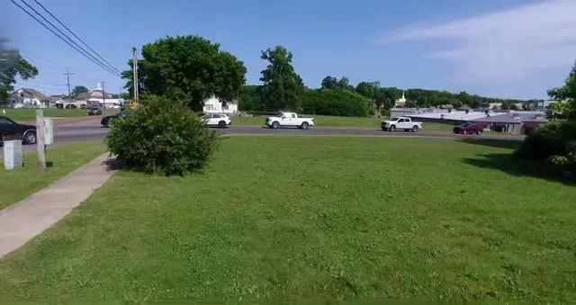 a view of outdoor space with garden and trees
