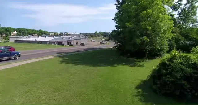 a view of a big yard with plants and large trees