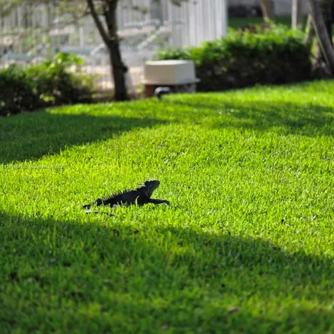 $255,000 | 6073 Balboa Circle, Unit 204, Boca Raton, FL 33433