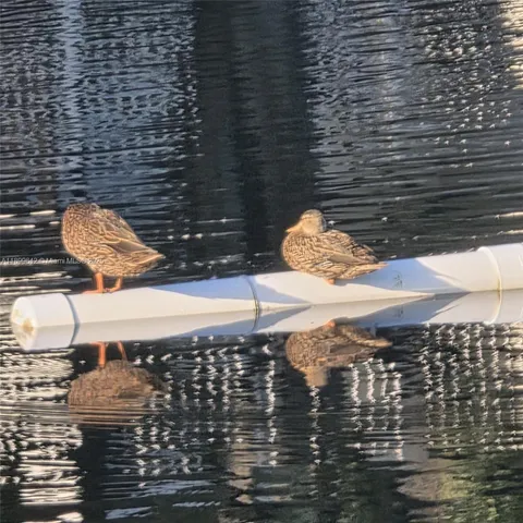 $255,000 | 6073 Balboa Circle, Unit 204, Boca Raton, FL 33433