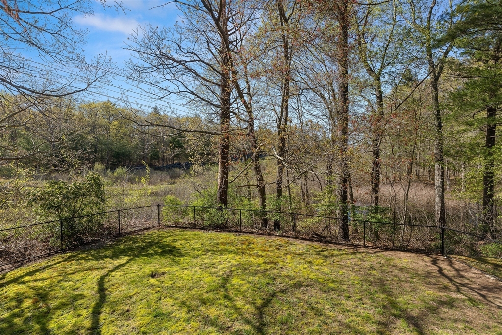 336 Sharpners Pond Road North Andover, MA 01845 - Photo 34 of 42 a view of yard