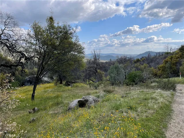 a view of a yard with an trees