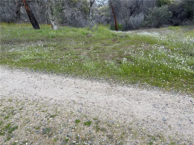a view of a yard with a tree