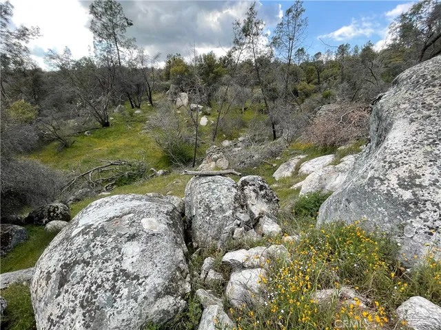 a view of a street with a yard
