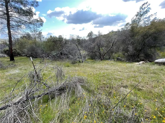 a view of a water fountain
