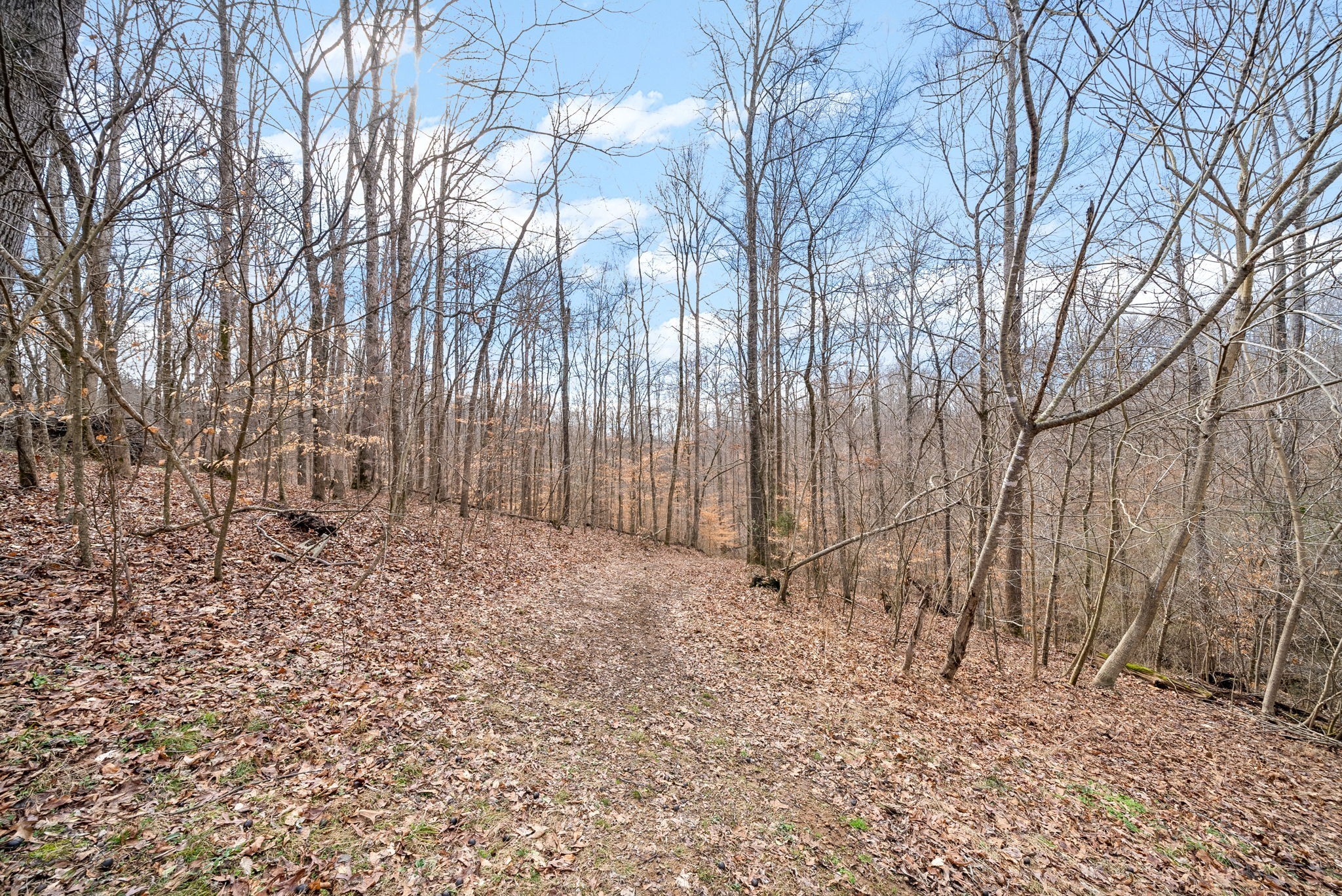 506 Ed Harris Road Ashland City, TN 37015 - Photo 25 of 31 Gallery Image 25