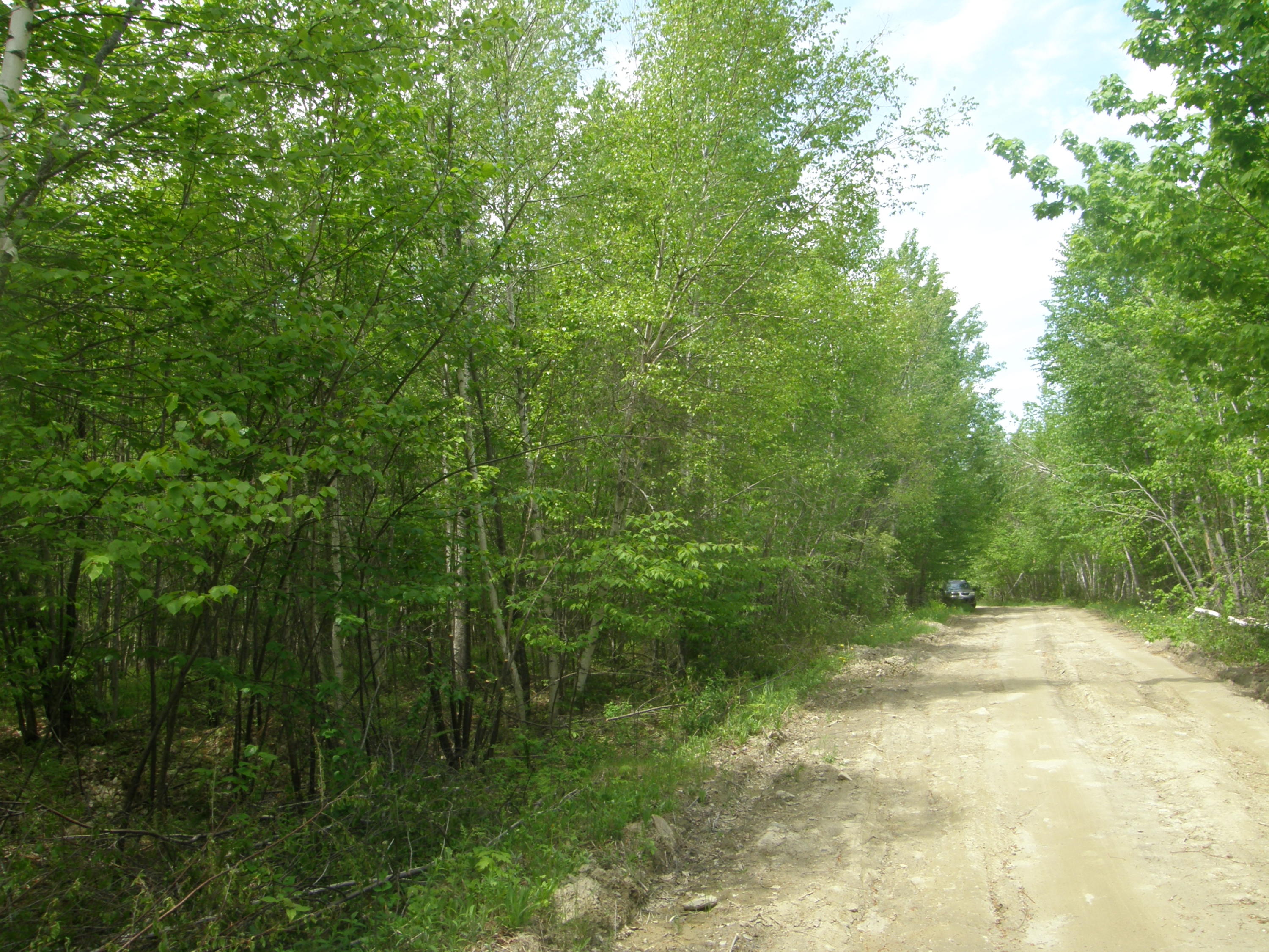 M10-l4 M10-l4 Stone Bridge Road Dexter, ME 04930 - Photo 1 of 9 P5280689
