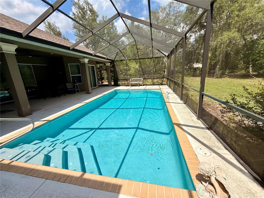 13110 Bamboo Street Spring Hill, FL 34609 - Photo 56 of 56 a view of yard from deck
