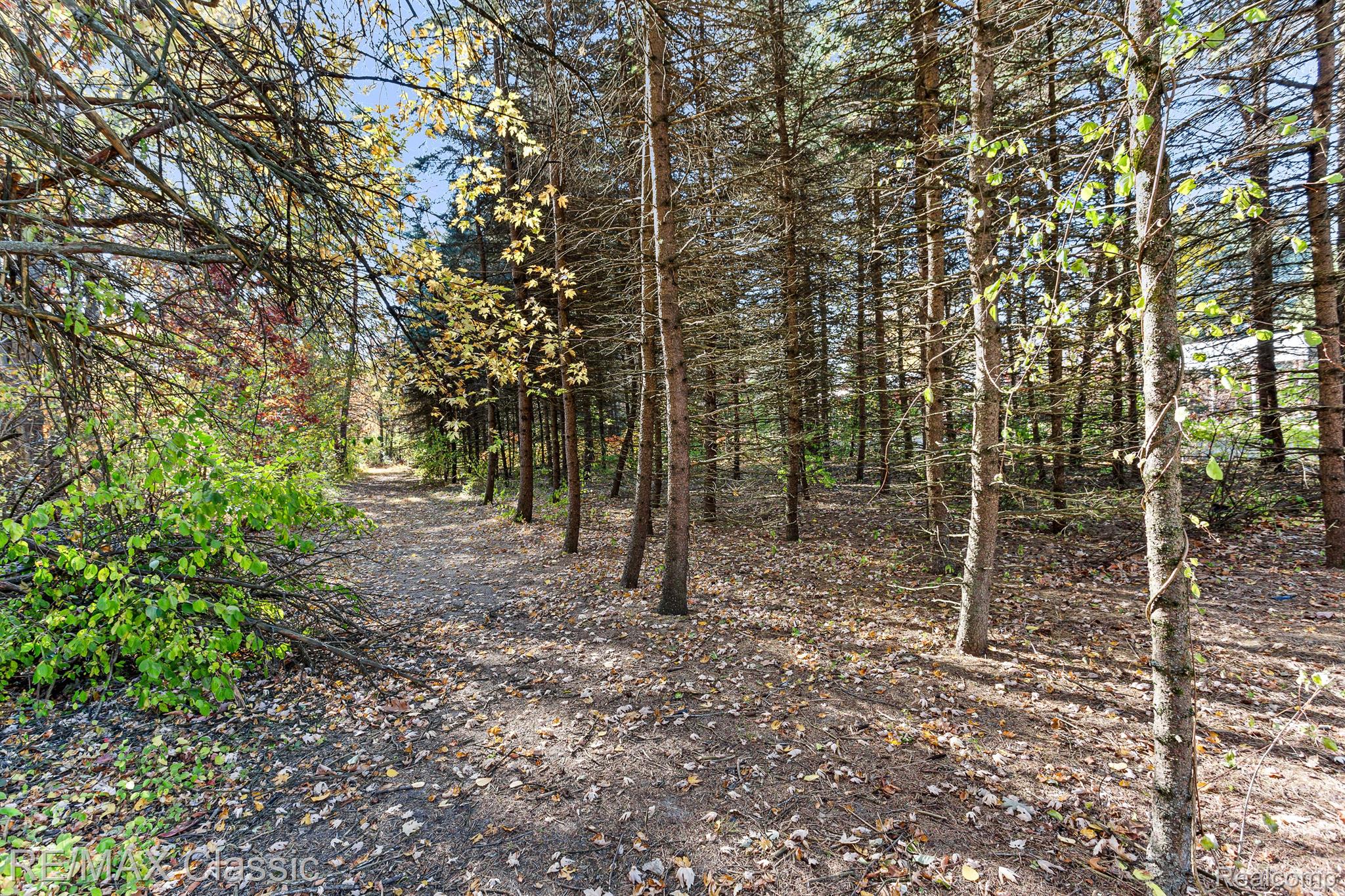 46545 Willis Road Belleville, MI 48111 - Photo 42 of 66 Gallery Image 42