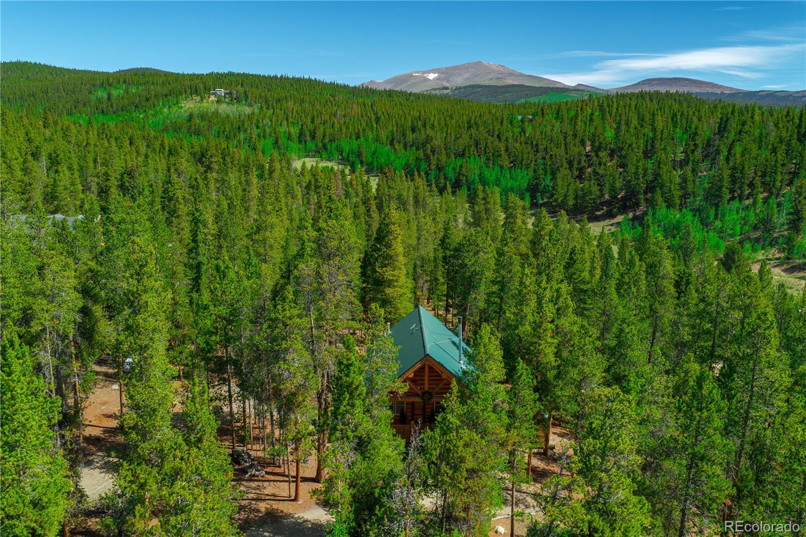 324 Skidoo Road Fairplay, CO 80440 - Photo 8 of 38