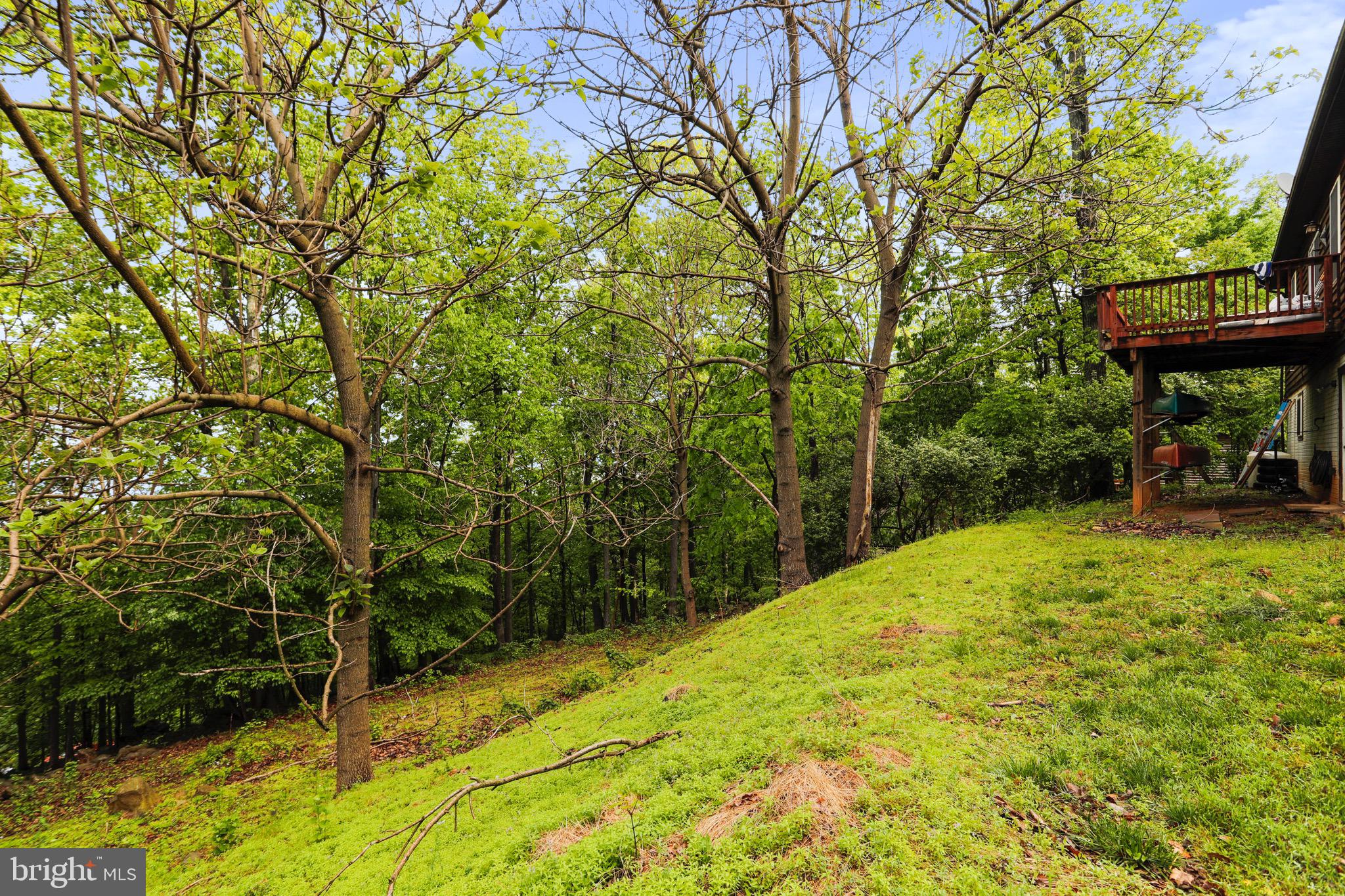 819 Wilderness Road Linden, VA 22642 - Photo 46 of 52
