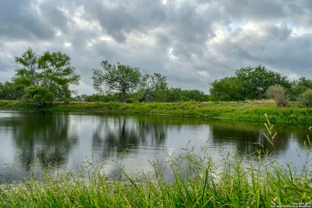 a view of a house with a garden