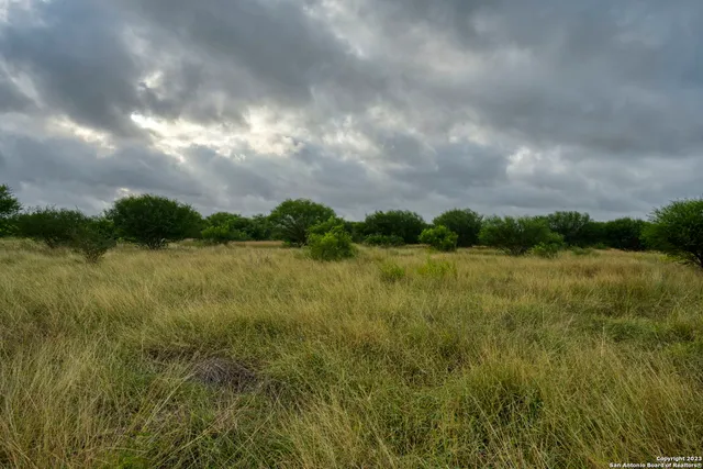 a view of a outdoor space and a yard