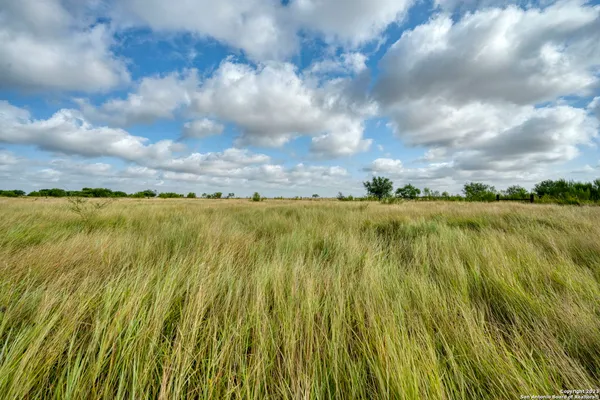 $2,499,000 | 2538 County Road 223, Floresville, TX 78114