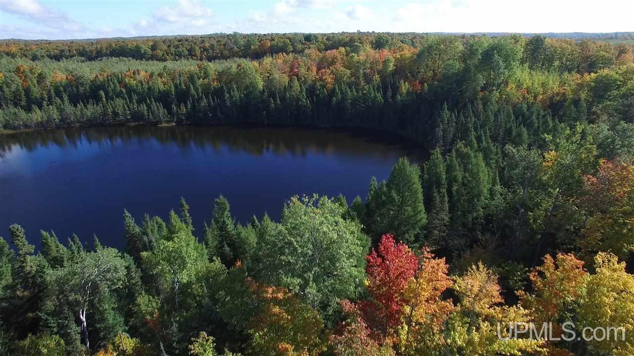 Bed Spring Lake Bed Spring Lake Republic, MI 49879 - Photo 11 of 36